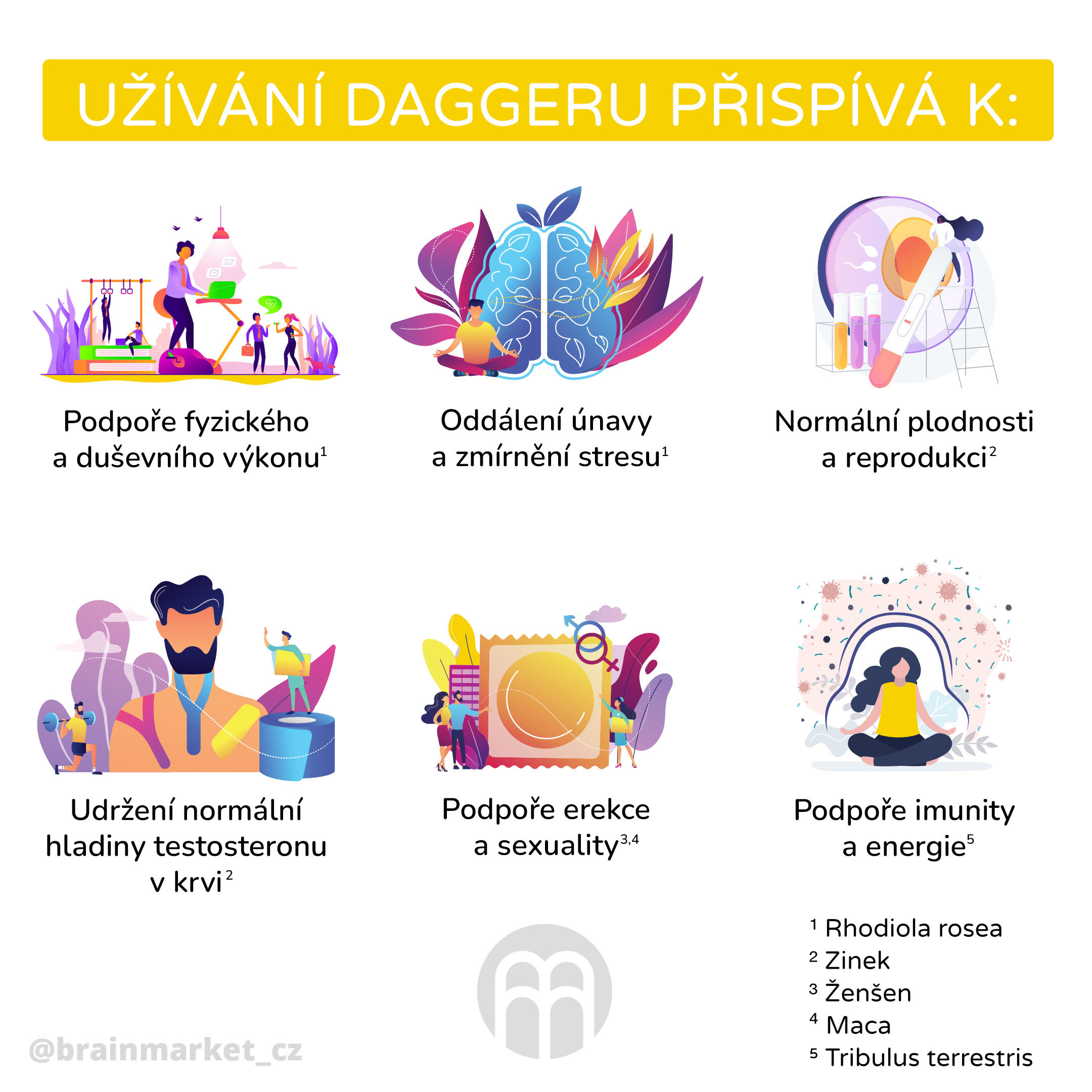 dagger infografika CZ